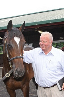 King's Rock Yearling